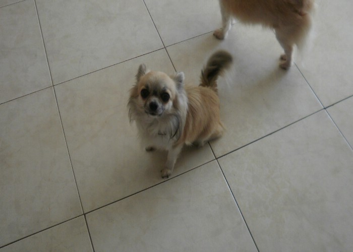 Dj love de la Voie des Péniches